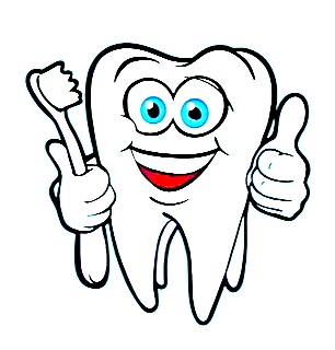 Zat zat gizi yang diperlukan untuk gigi  kita Belajar sehat 