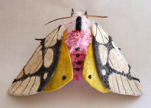 insect-4
