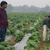 यूपी के किसानों को एक्सपर्ट सिखाएंगे नई तकनीक
