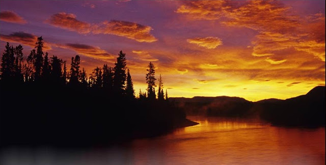 Dawn on the Dezadeash River and Boreal Forest, Yukon, Canada