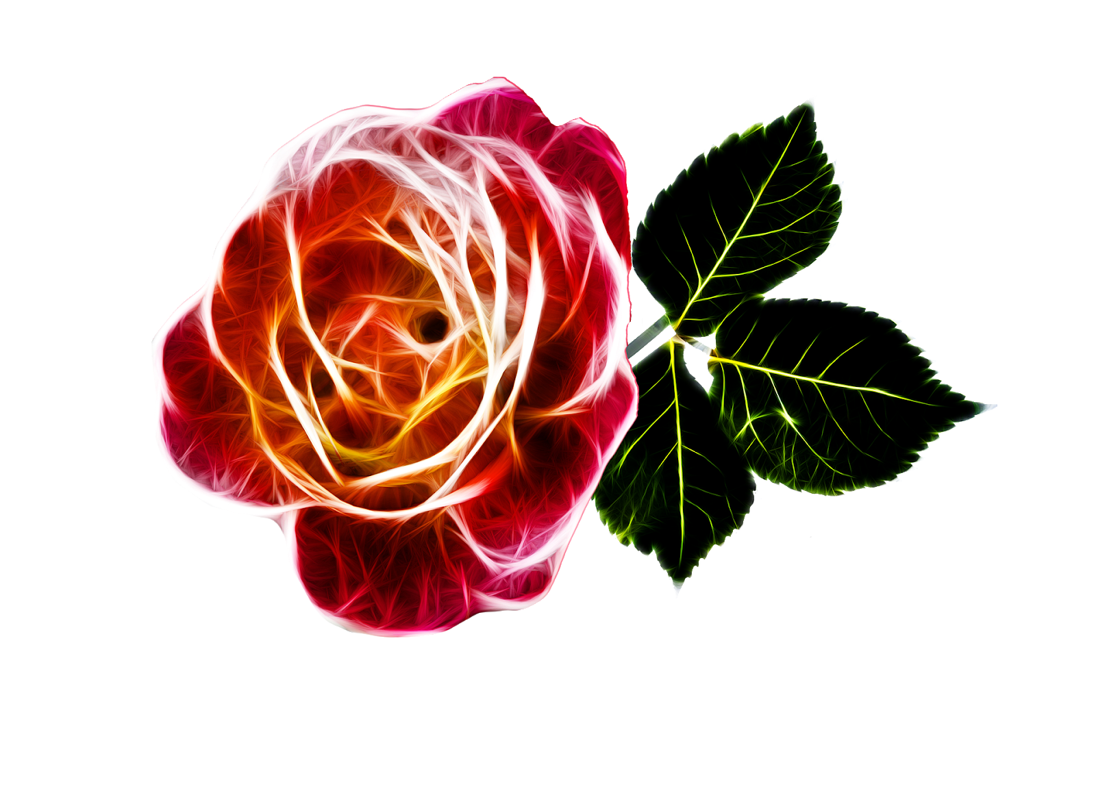30+ Gambar Bunga Mawar Terbaik - Server Gambar