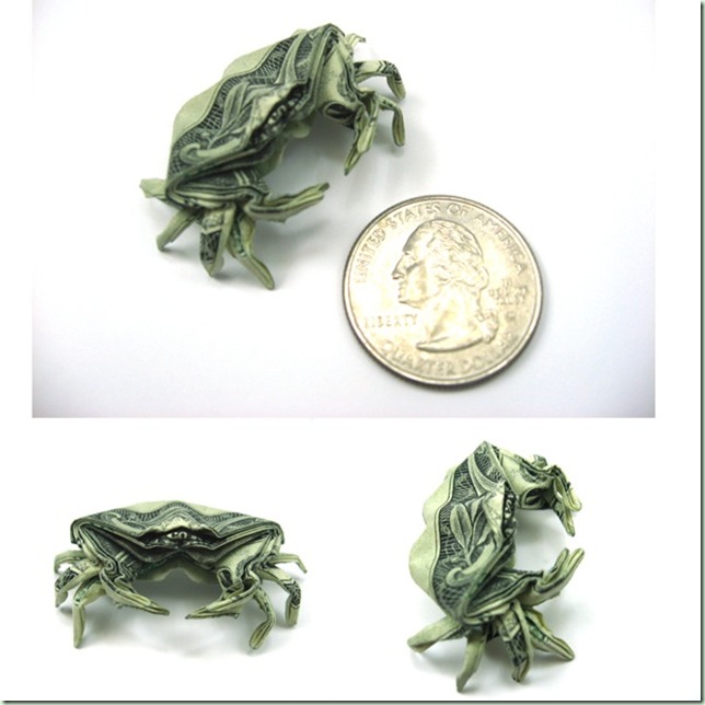 Dollar_Crab_by_orudorumagi11