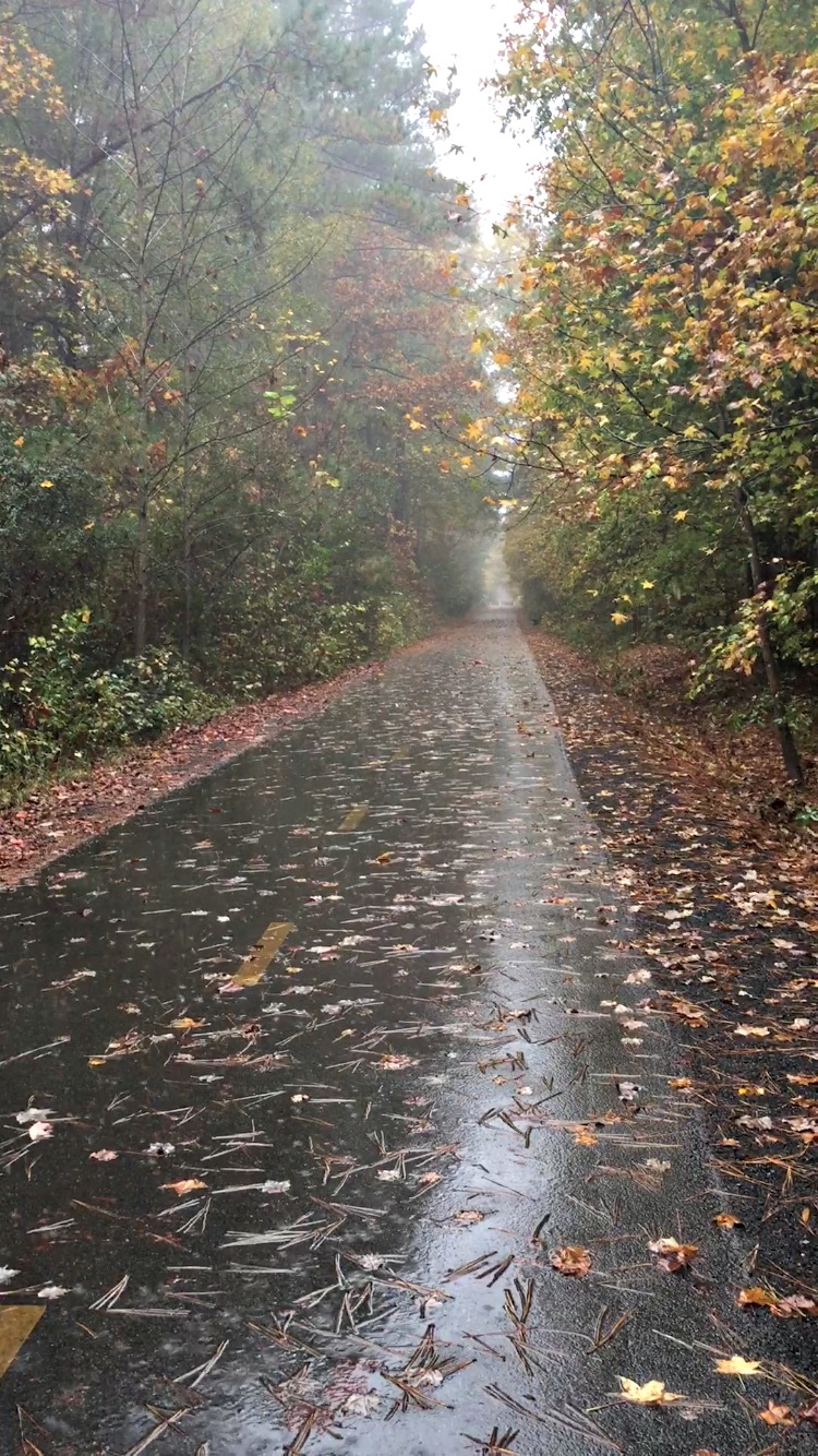 Raindrops and Running Shoes