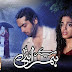 Mere Humrahi Last Episode in High Quality 6th january 2014