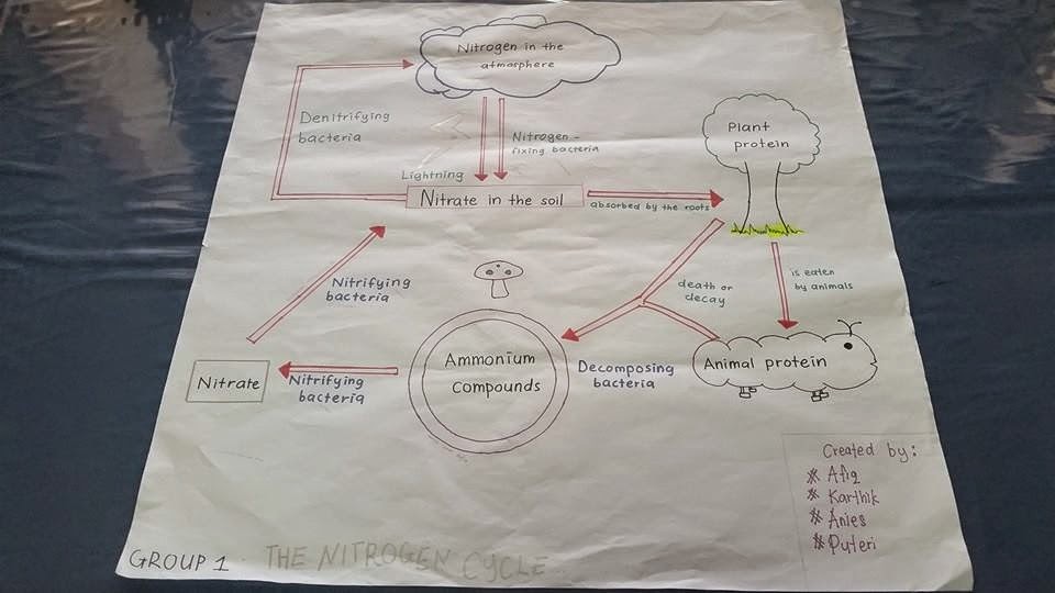 Idea P&P Sains : Kitar Nitrogen 2