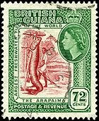 Arapaima on stamp