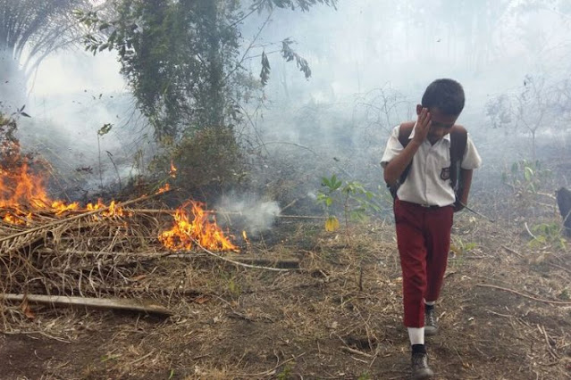 Polusi Udara Akibat Karhutla