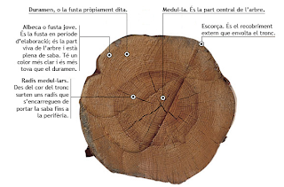 Resultat d'imatges de tres parts del tronc escorÃ§a albeca cor