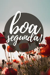 Linda mensagem para compartilhar segunda-feira e distribuir boas energias e muita felicidade.