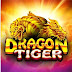 How to Play & Tricks to Play Dragon Tiger Game Online?