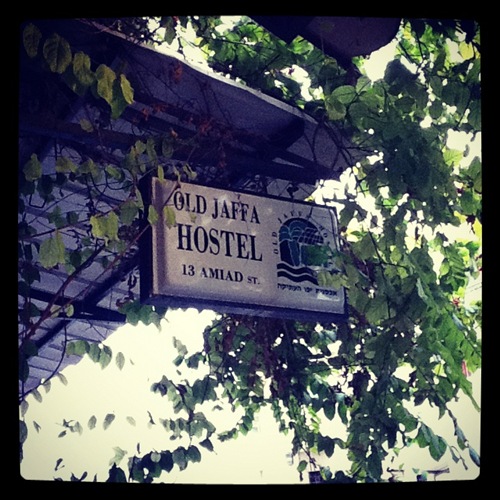 photo (14)