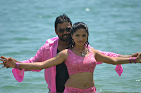 Sunaina, Hot, In, Pink