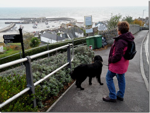 lyme regis 076 lyme regis 076