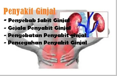 jenis - jenis penyakit ginjal dan gejala serta pengobatan penyakit ginjal