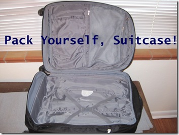 suitcase