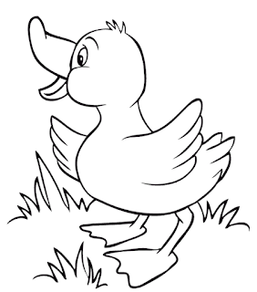 Halaman belajar  mewarnai gambar bebek lucu untuk anak