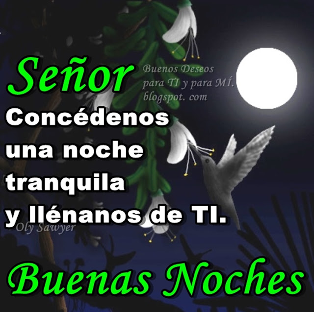 SEÑOR Concédenos una noche tranquila y llénanos de TI.  BUENAS NOCHES !