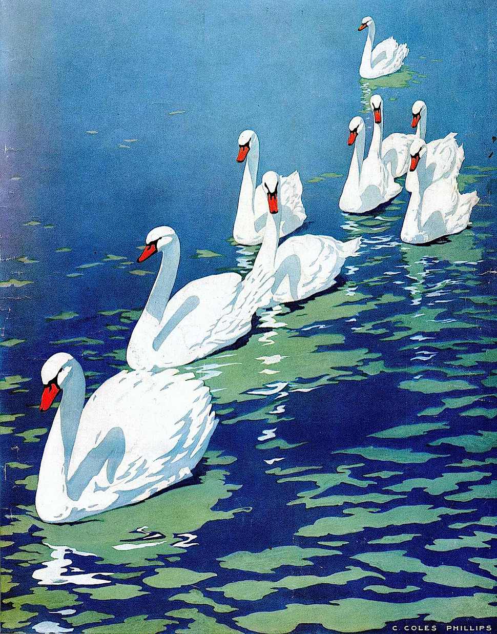 a Coles Phillips illustration of white swans in procession,1911