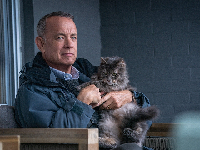 TOM HANKS ดูหนัง A Man Called Otto มนุษย์ลุง ชื่ออ๊อตโต้ เต็มเรื่อง Cat