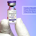 Zydus Needle-Free Corona Vaccine Zycov-D: All You Need to Know | RajkotUpdates.news