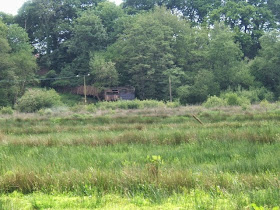Wildlife hide Alverstone Nature Reserve seen across meadow