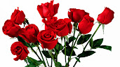 #3 Lovely Flowers Wallpaper Desktop Background Full Screen