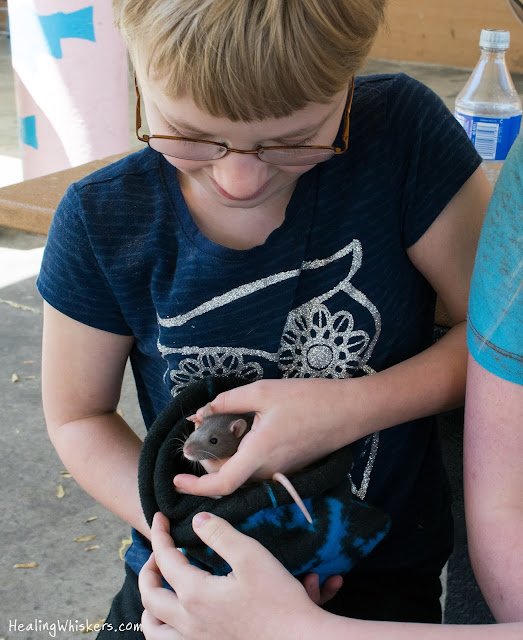 Xavier the rat Meeting New Friends