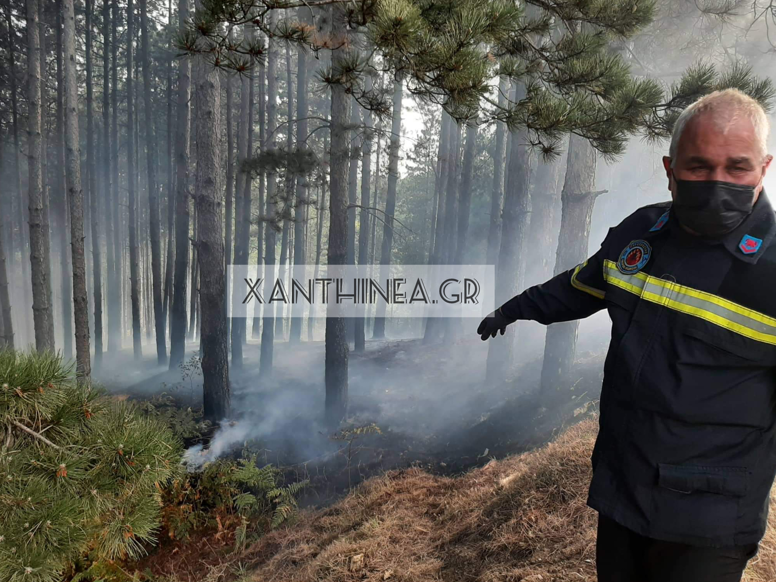 Πύρινο μέτωπο στην Ξάνθη - Δασική πυρκαγιά στην Αχλαδιά [ΒΙΝΤΕΟ]