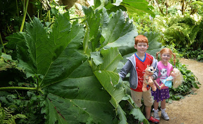 English Heritage Belsay Quarry Gardens