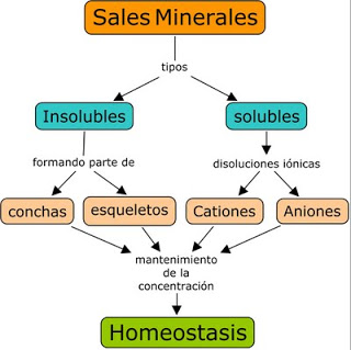 Resultado de imagen para CARBOHIDRATOS LIPIDOS Y PROTEINAS ACIDOS NUCLEICOS