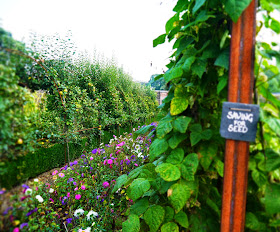 The Lost Gardens of Heligan, Cornwall - vegetable garden