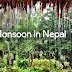 Monsoon in Nepal