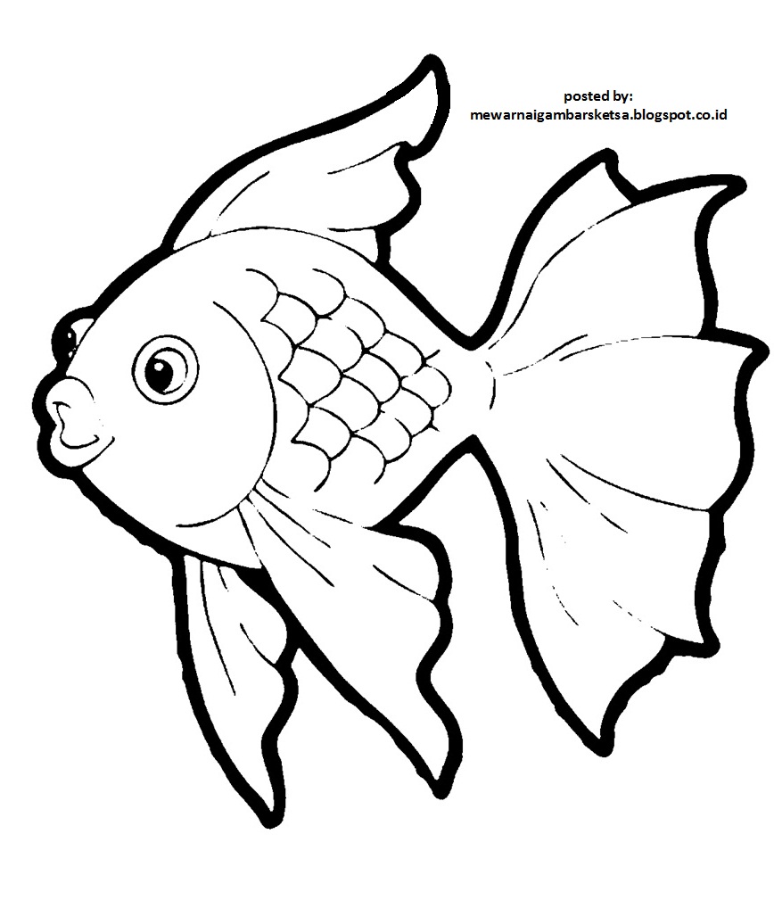 Mewarnai Gambar Mewarnai Gambar Sketsa  Hewan Ikan  2