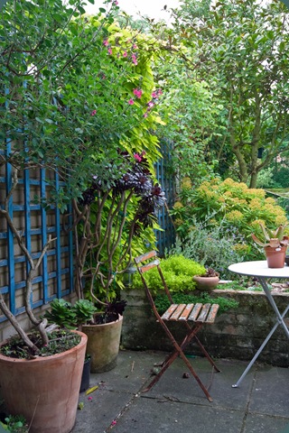 Outside backdoor