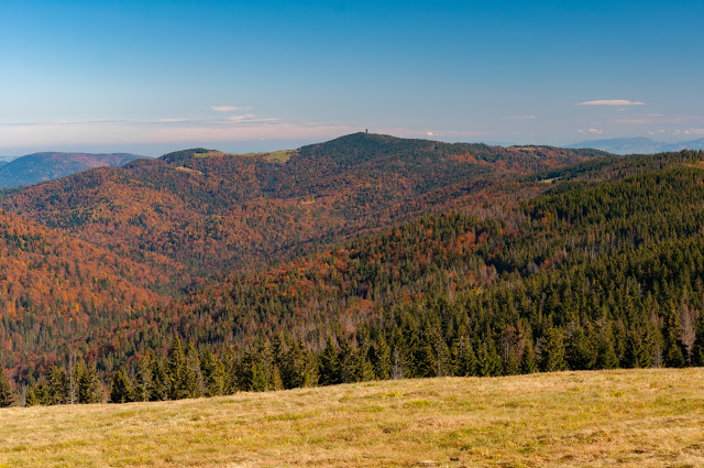 Polana Jaworzyna