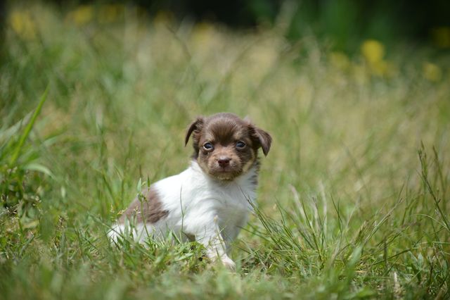 20150512-DSC_2712.jpg