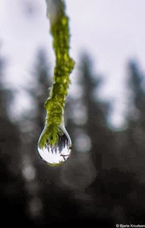 P1060586
