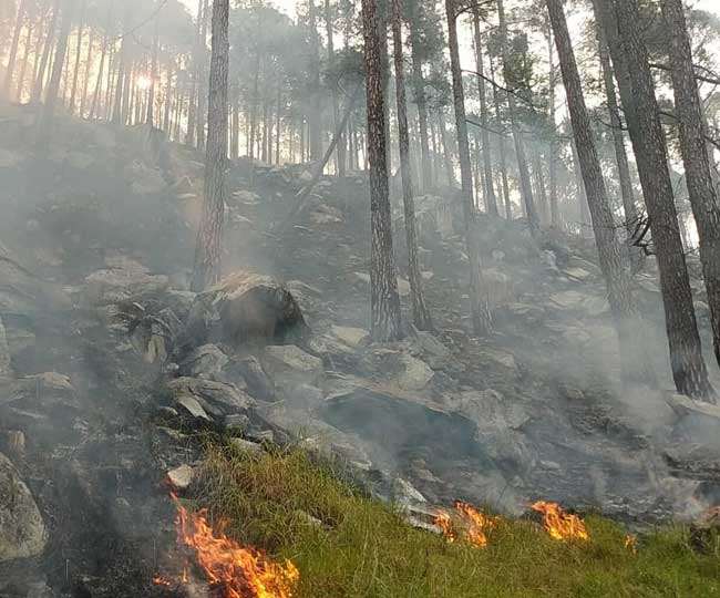 चित्र