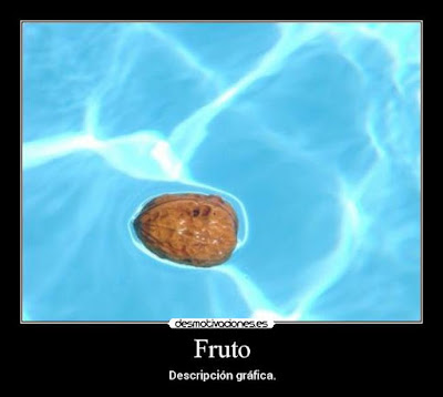 Si un fruit sec se bañe, ¿seguix sén un fruit sec?