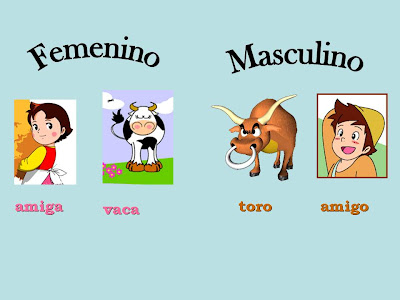 Resultado de imagen de el genero del sustantivo masculino y femenino