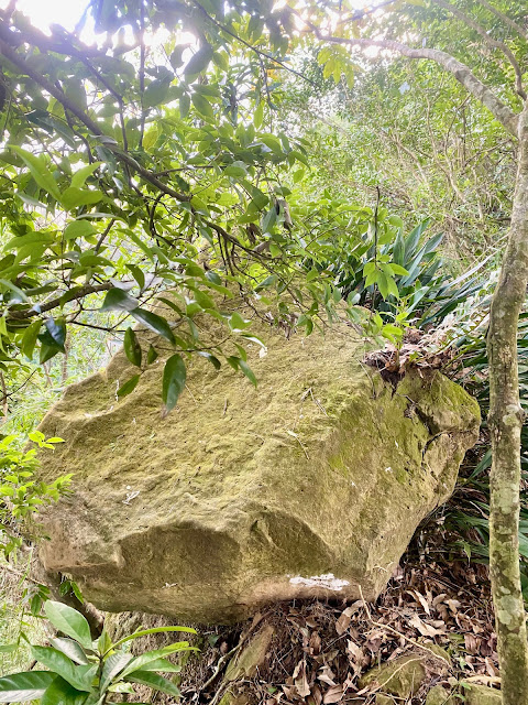 往象山--巨石