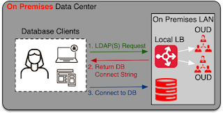 Oracle Database Name Resolution