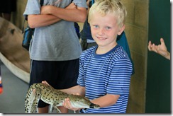 Darwin 034