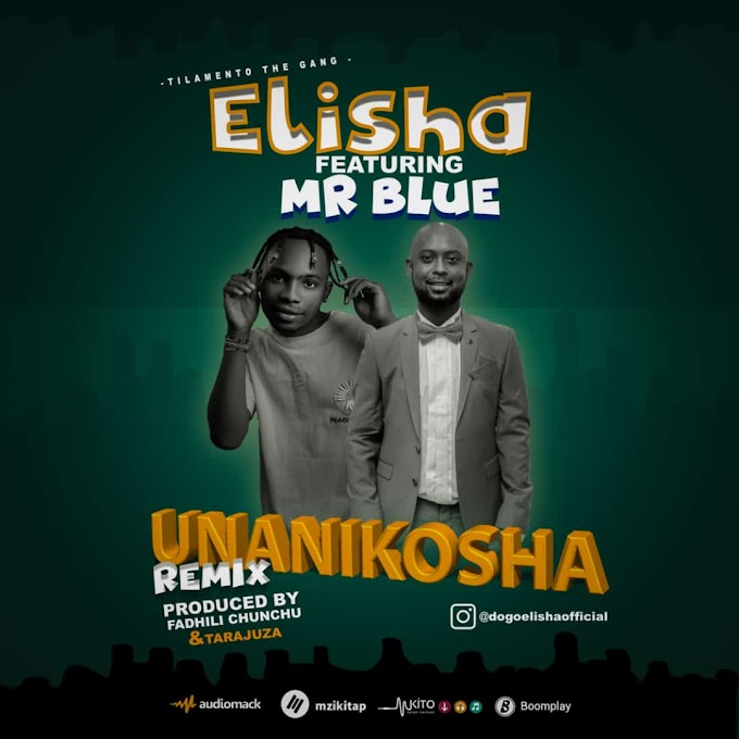 AUDIO | Elisha Ft Mr Blue - Unanikosha Remix (Mp3) Download
