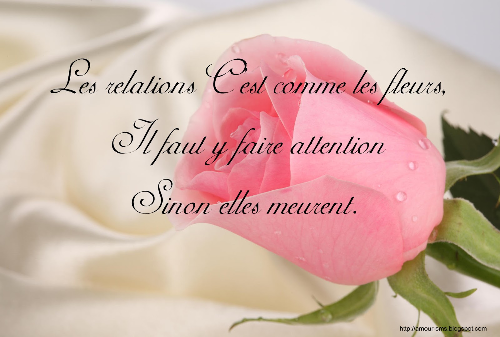 Les relations c'est comme les fleurs,il faut y faire attention sinon ...