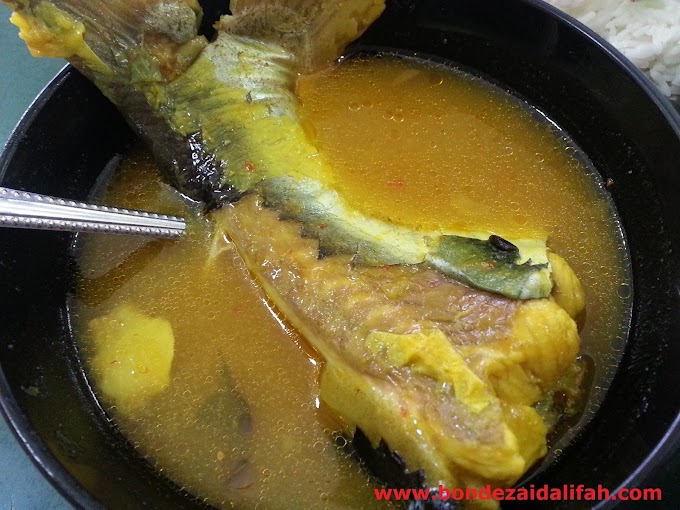 KEGILAAN DUA BERANAK IKAN PATIN MASAK TEMPOYAK RNR TERMELOH