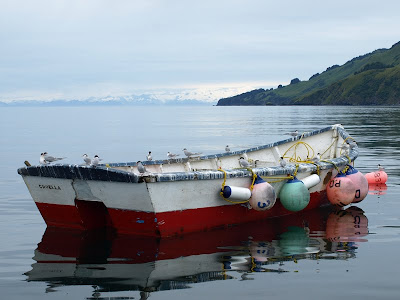 Kodiak gill-net site