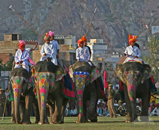 Indian Maharaja Train