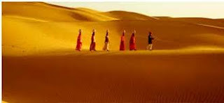 Sand Dunes over large areas in Jaisalmer, Rajisthan