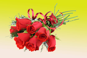 red-flowers-roses-images